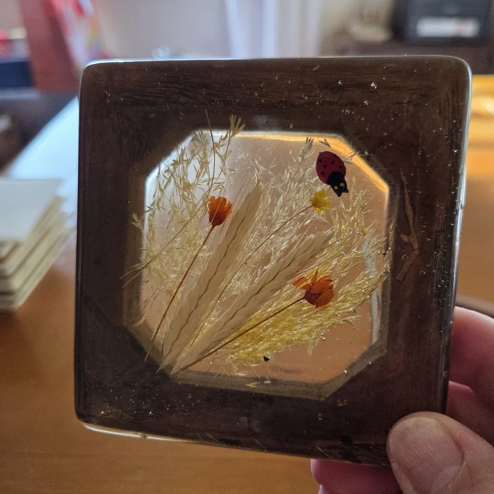 70s Wood Box With Resin Top That Has Dried Flowers And A Lady Bug